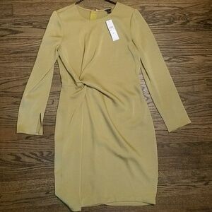 Ann Taylor Olive Dress